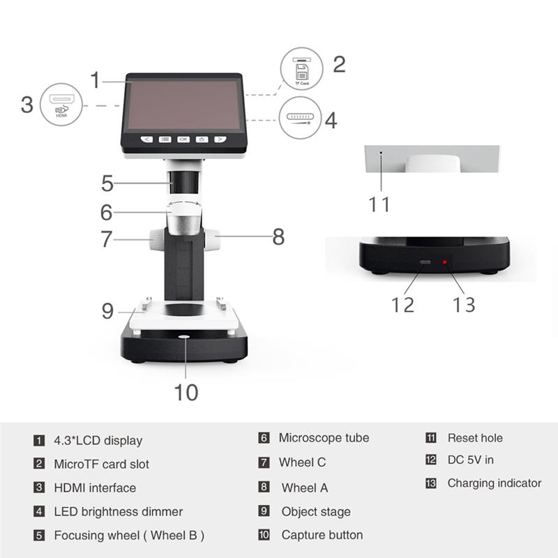 1000X 4.3 inches HD 1080P Portable Desktop LCD Digital Microscope